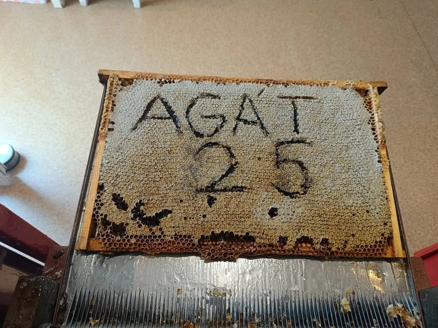Akátový med 950g